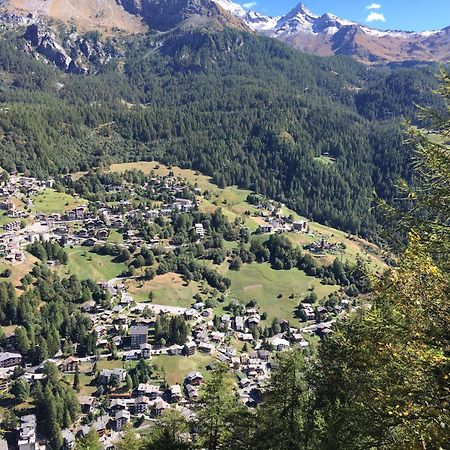 B&B Lepetitnid Valtournenche Dış mekan fotoğraf